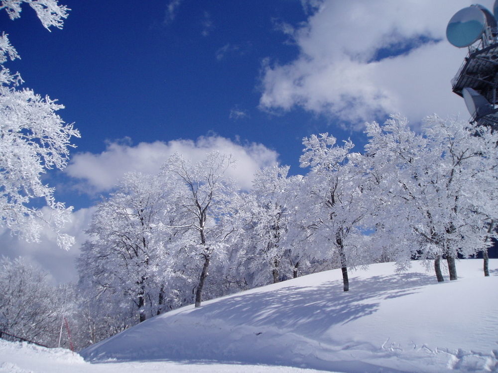 Lodge Matsuya Nozawa Luaran gambar