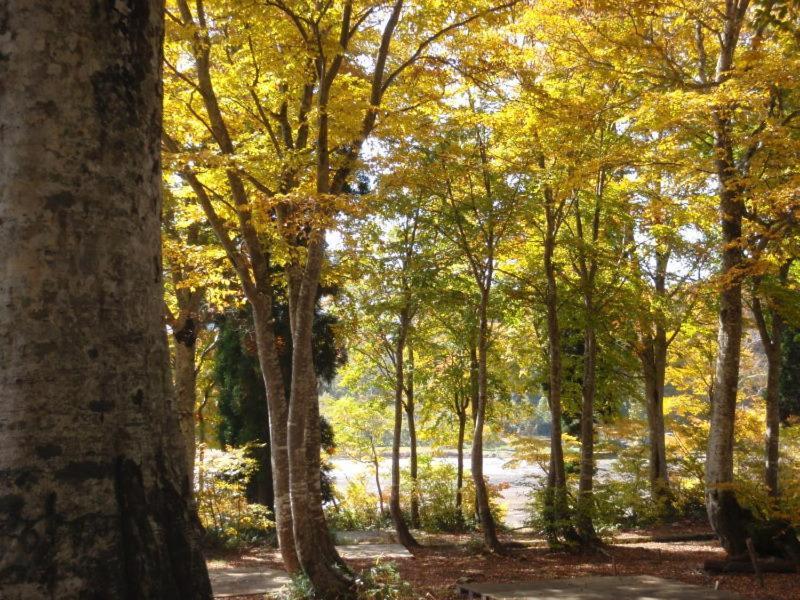 Lodge Matsuya Nozawa Luaran gambar