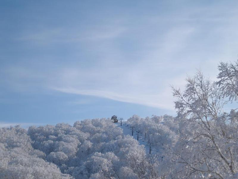 Lodge Matsuya Nozawa Luaran gambar