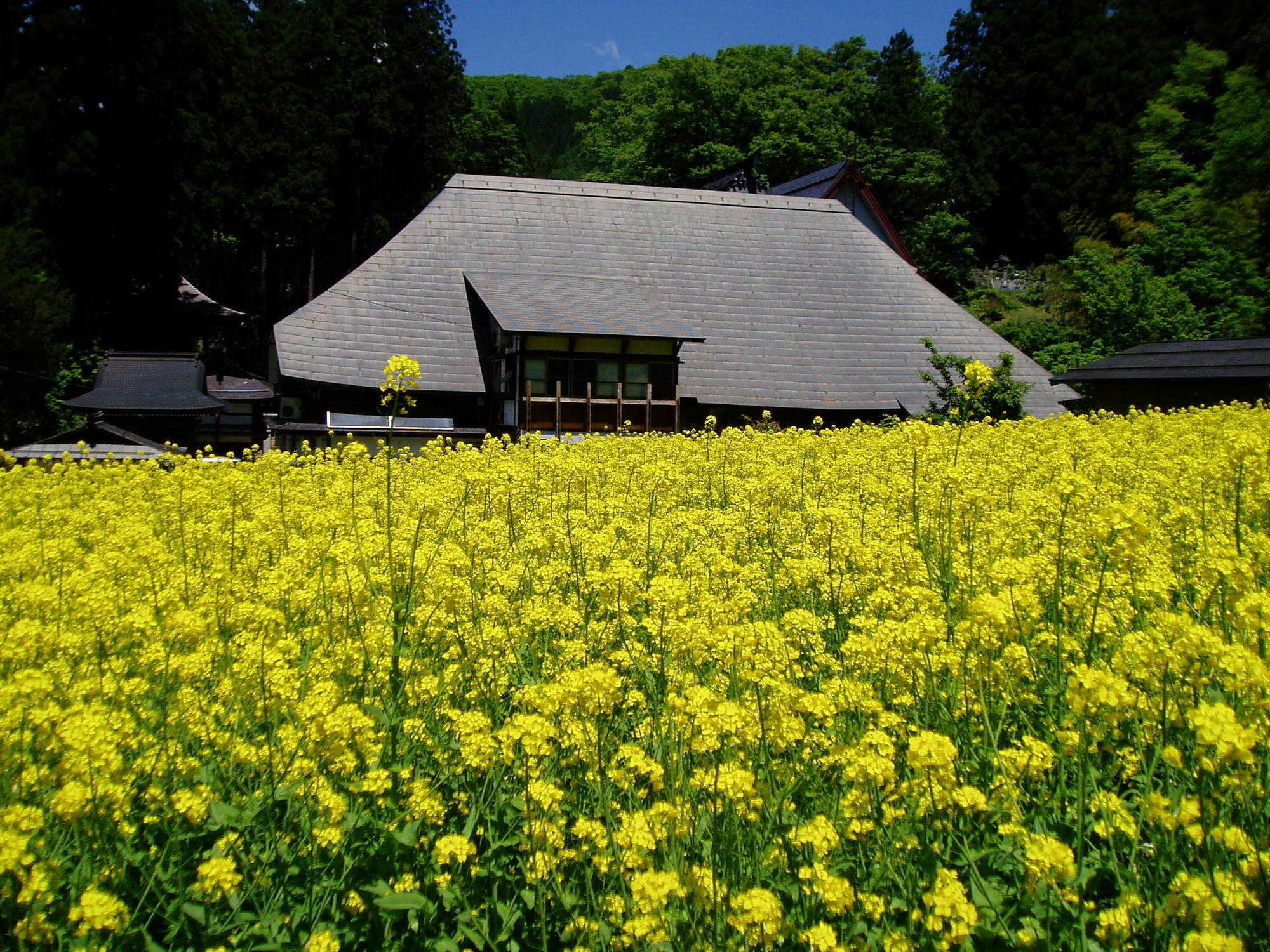 Lodge Matsuya Nozawa Luaran gambar