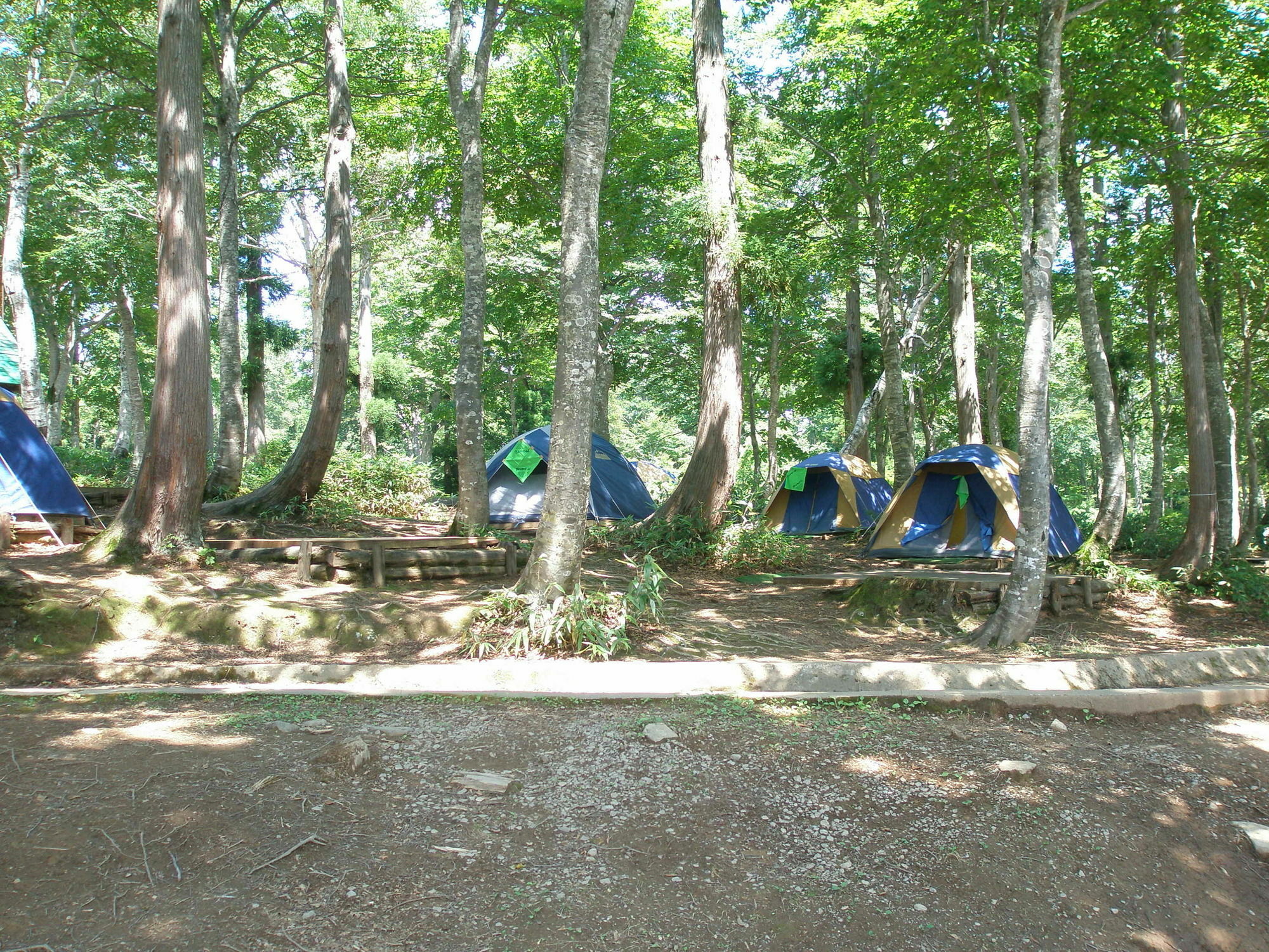 Lodge Matsuya Nozawa Luaran gambar